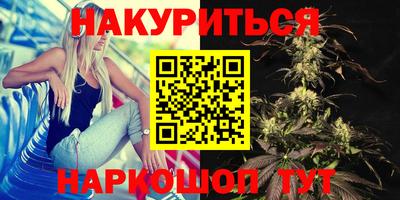 скорость Новодвинск