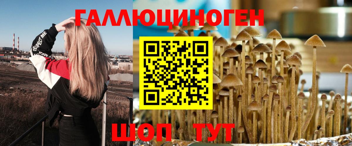 Галлюциногенные грибы GOLDEN TEACHER Хабаровск