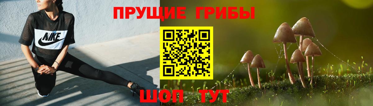 Псилоцибиновые грибы Psilocybe  Вход с VPN  Хабаровск 